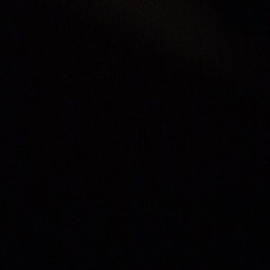 Meet your Posher, Harley